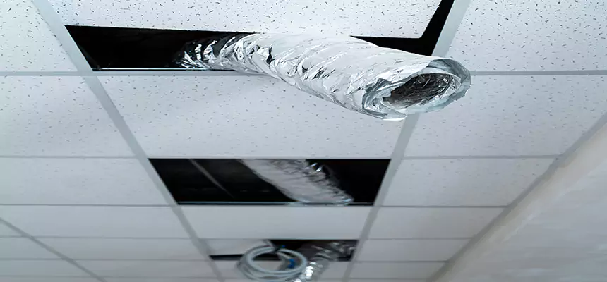 Our Air Duct Pet Hair Removal Services in Lubbock, TX