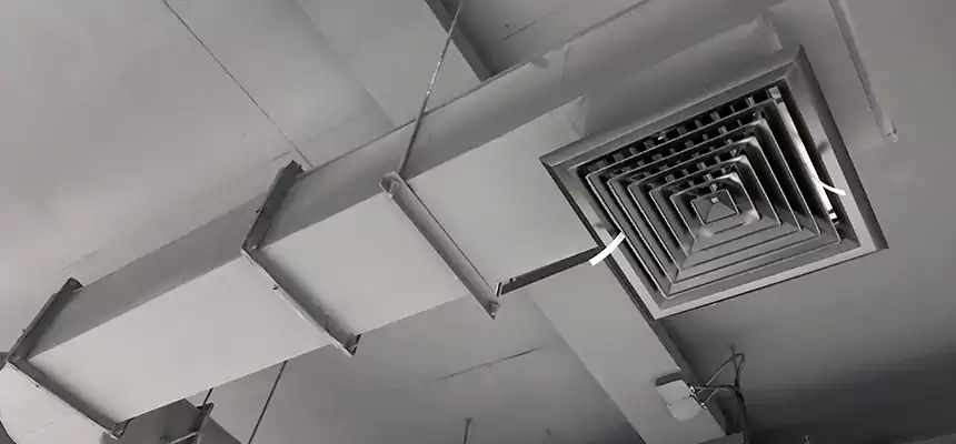 Our Pest Removal From Ducts Services in Lubbock, TX