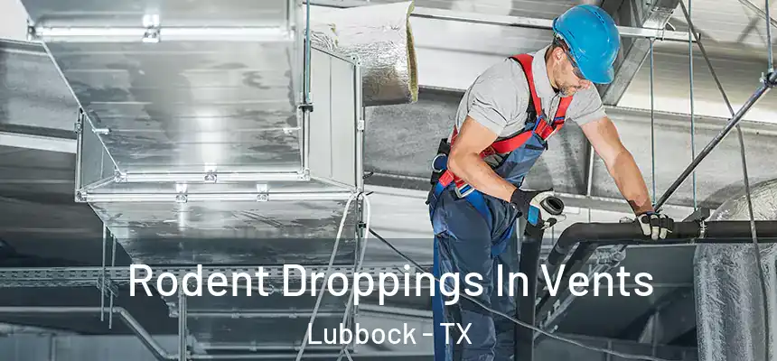  Rodent Droppings In Vents Lubbock - TX