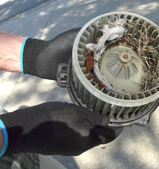 About Air Duct Rat Removal in Lubbock, TX