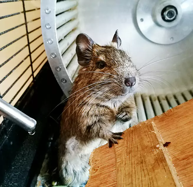 Why Homeowners & Businesses Trust Us Lubbock, TX?